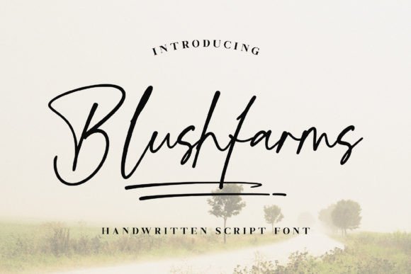Blushfarms: A Premium Font for Creative Web Design