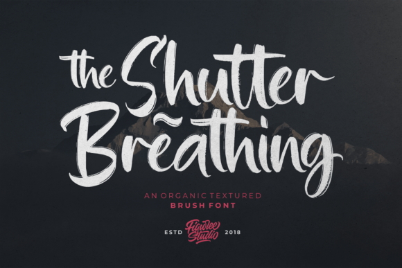 Shutter Breathing: A Versatile Font for Modern Web Design